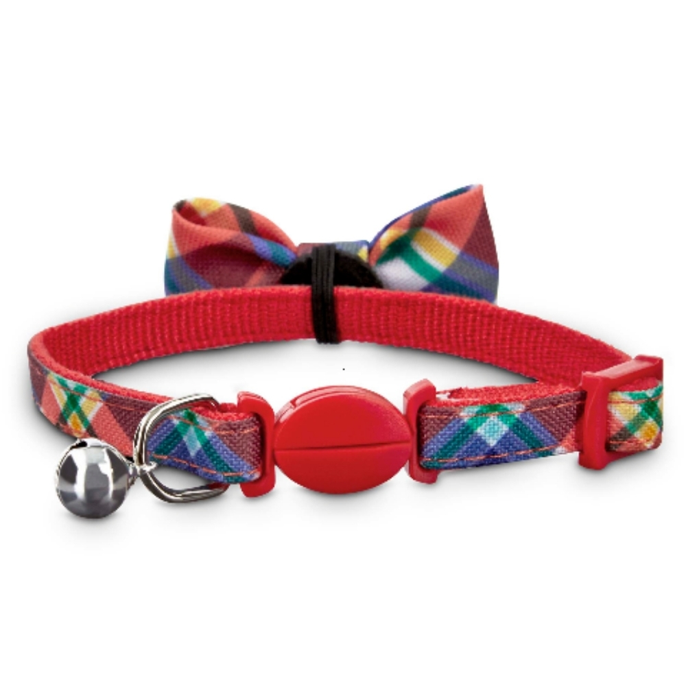Kitten Collar